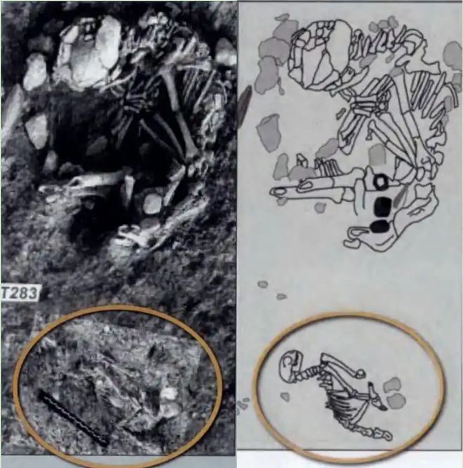 塞浦路斯战术秘密暴露，无力对抗对手的简单介绍