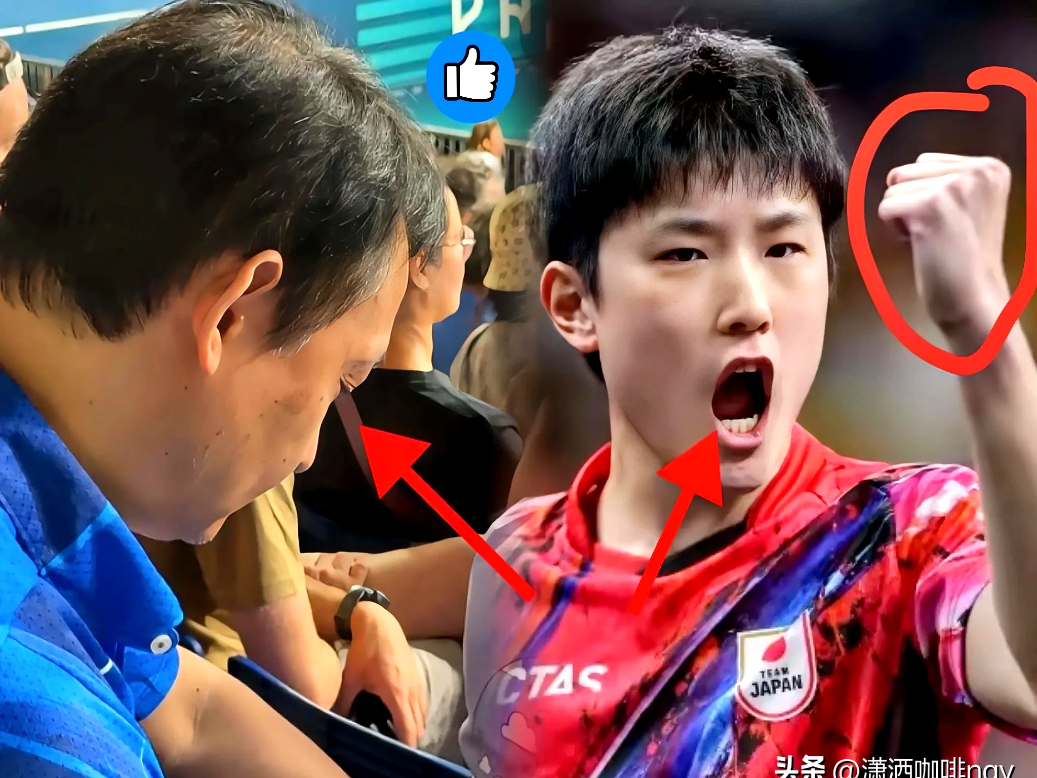 包含奥地利队翻盘中国队，张本智和扛起全队的词条