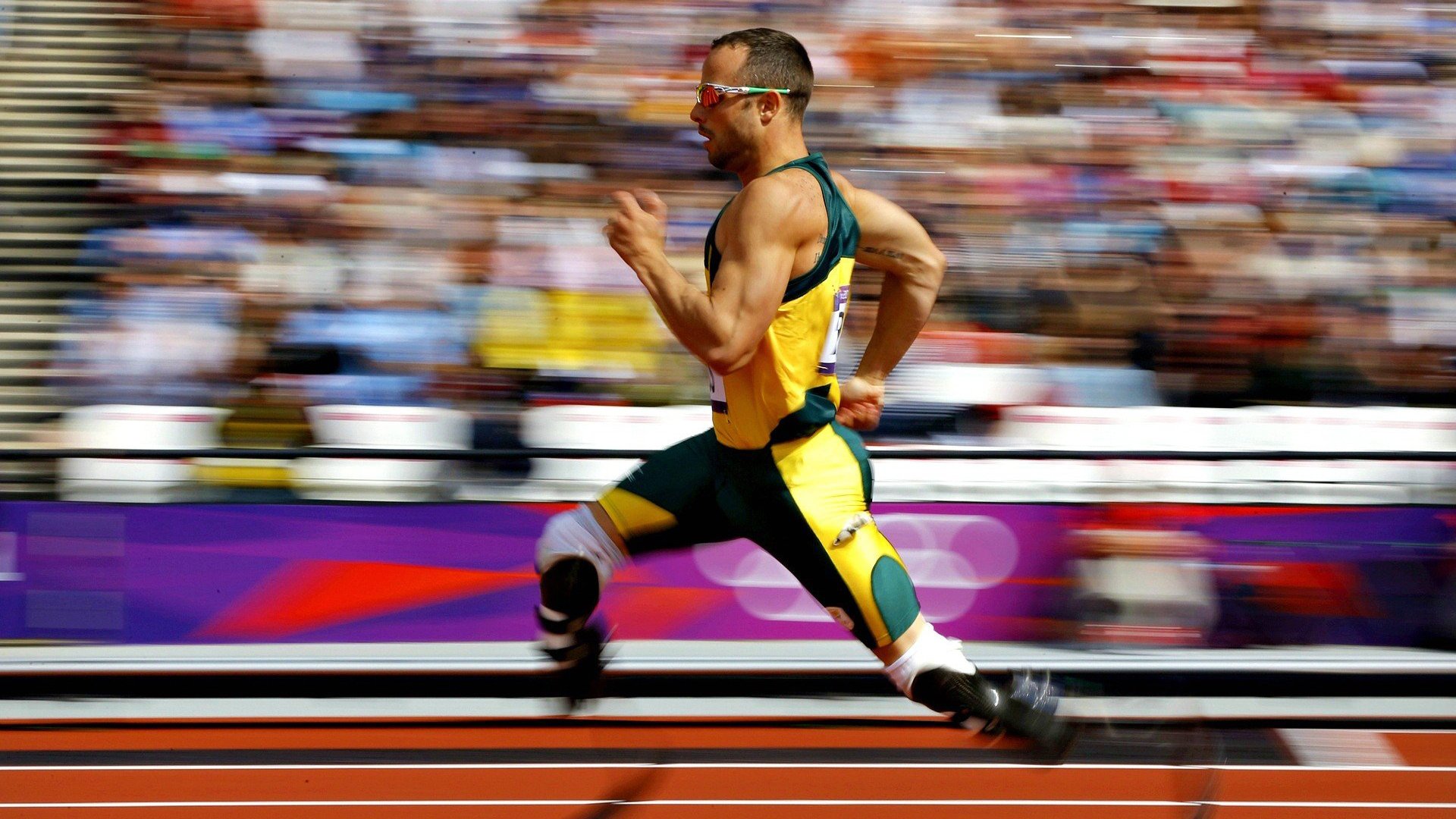 字母哥掌控全局，活塞战术击溃森林狼的启示